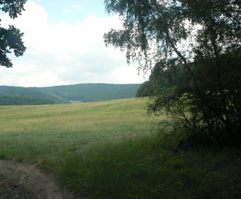 27.6.2020 Návšteva ZO JDS Kráľove-Krnišov.