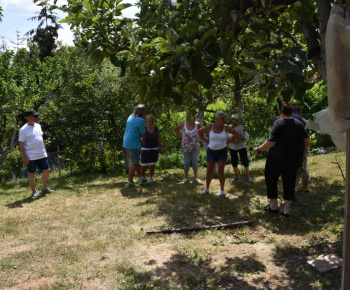 27.6.2022-Šípky-prababka Evka.