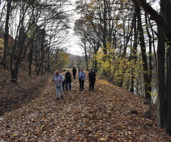 3.11.2022 Jesenná vychádzka z Richňavy na Vindšachtu.