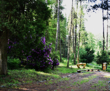 31.5.2024 Arborétum s predškolákmi.