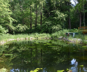 31.5.2024 Arborétum s predškolákmi.