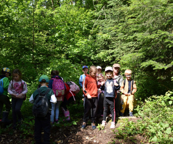 31.5.2024 Arborétum s predškolákmi.